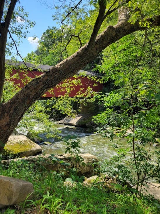 looking at the river at McConnells park
