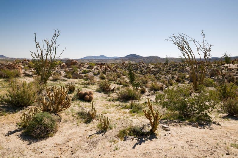 Anza-Borrego Desert State Park
