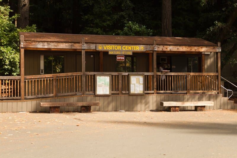 Armstrong Redwoods State Natural Reserve hero image