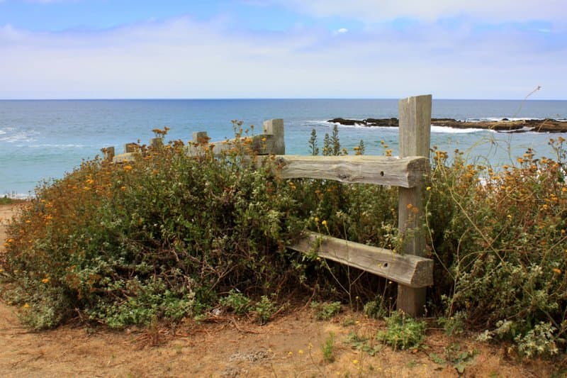 Bean Hollow State Beach
