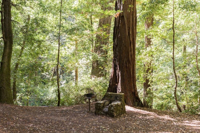 Big Basin Redwoods State Park