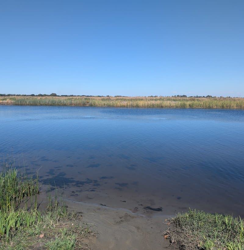 Brannan Island State Recreation Area hero image