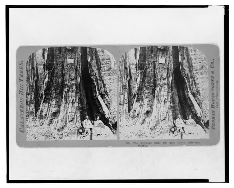 Calaveras Big Trees State Park hero image