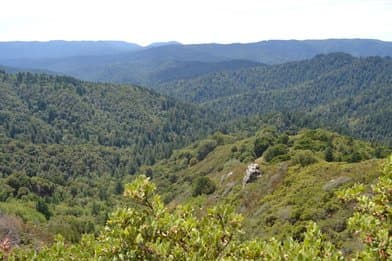 Castle Rock State Park - Image 1