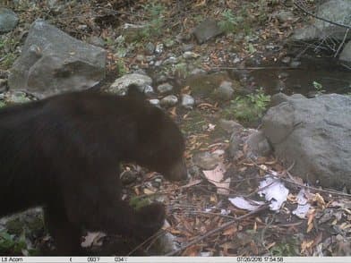 Malibu Creek State Park - Image 1