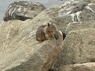 Morro Bay State Park - Image 1