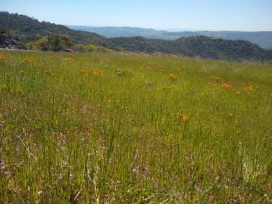 Mount Diablo State Park - Image 1
