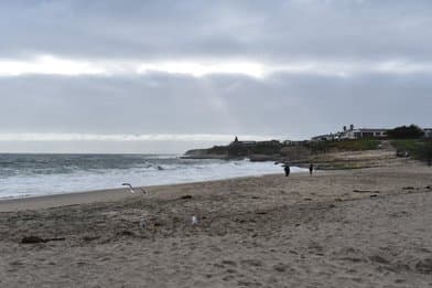 Natural Bridges State Beach - Image 1