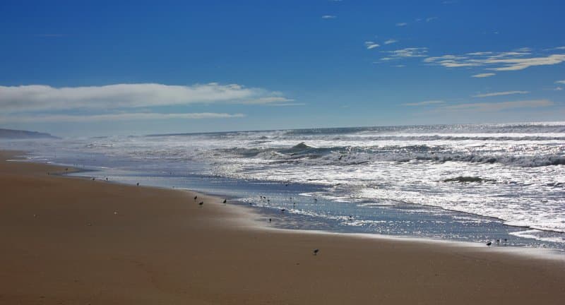 Oceano Dunes State Vehicular Recreation Area hero image