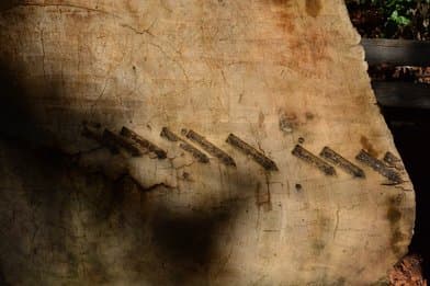 Pfeiffer Big Sur State Park - Image 1