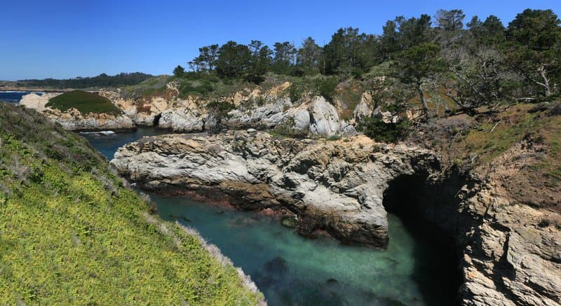 Point Lobos State Natural Reserve