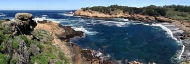 Point Lobos State Natural Reserve - Image 2
