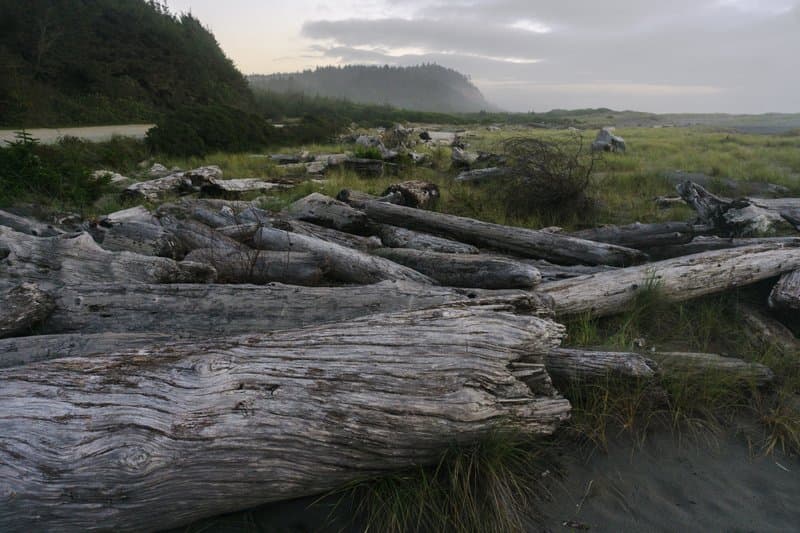 Prairie Creek Redwoods State Park