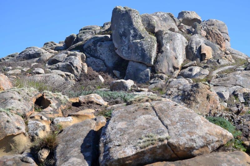 Salt Point State Park