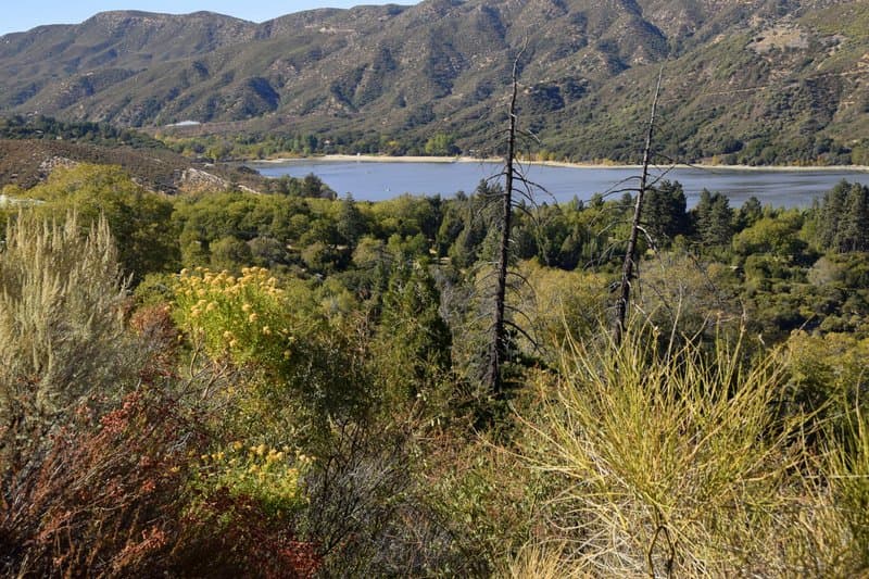 Silverwood Lake State Recreation Area