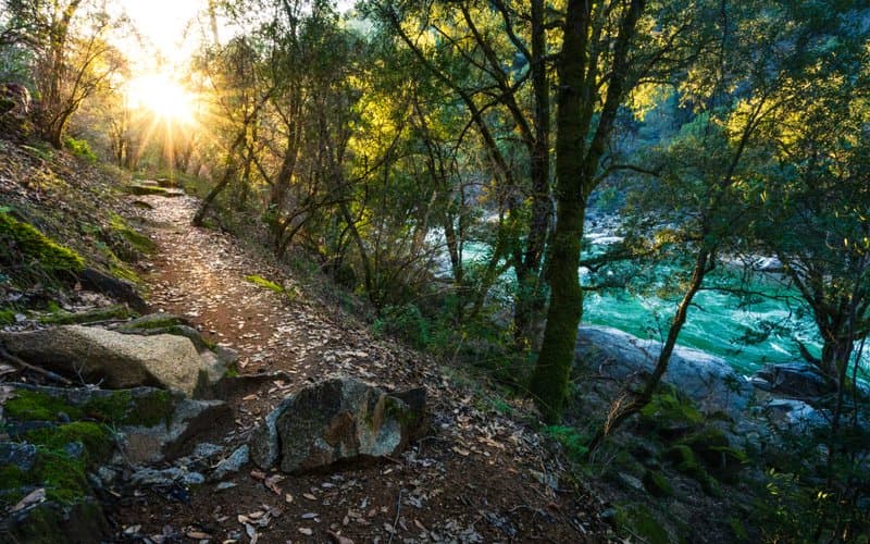 South Yuba River State Park hero image