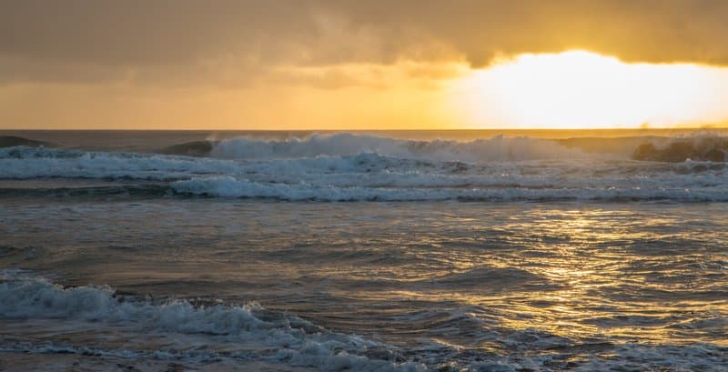 Torrey Pines State Beach