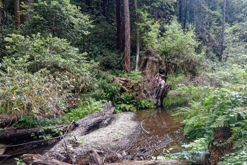 Van Damme State Park hero image