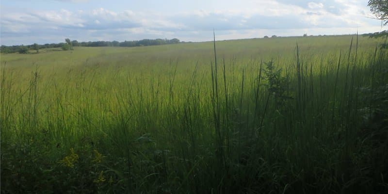 Chain O'Lakes State Park hero image