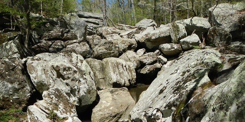 Dixon Springs State Park hero image