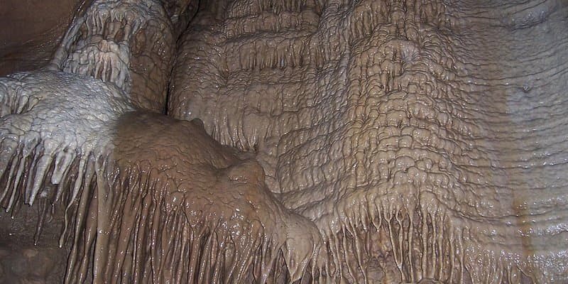 Illinois Caverns State Park hero image