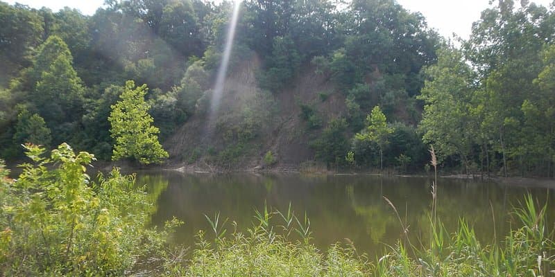 Kickapoo State Park hero image