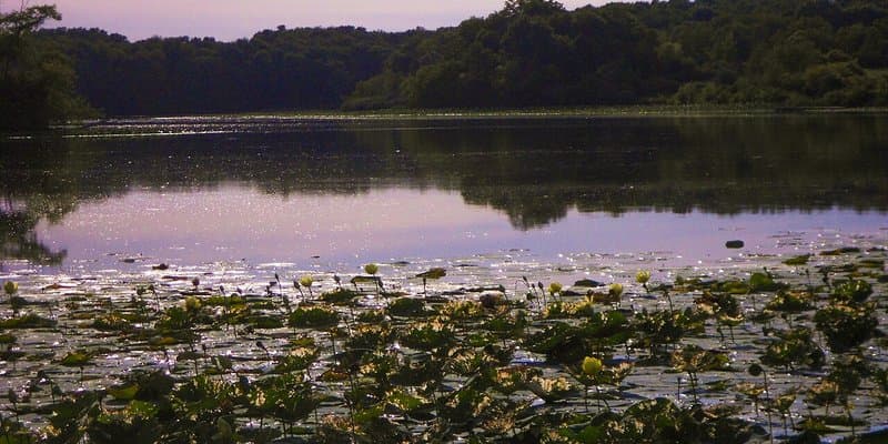 Morrison-Rockwood State Park hero image