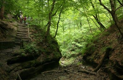 Starved Rock State Park - Image 3