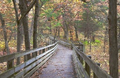 Starved Rock State Park - Image 4