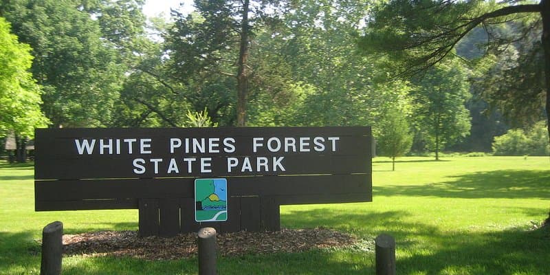 White Pines Forest State Park hero image