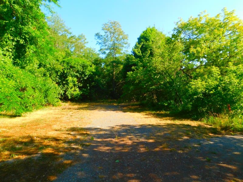Earl W. Brydges Artpark State Park