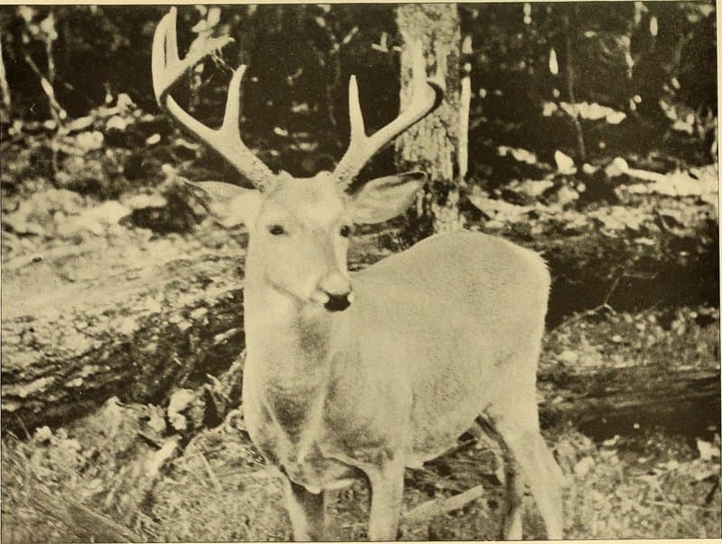 Canoe-Picnic Point State Park hero image