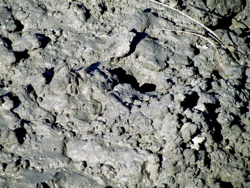 Crab Island State Park hero image