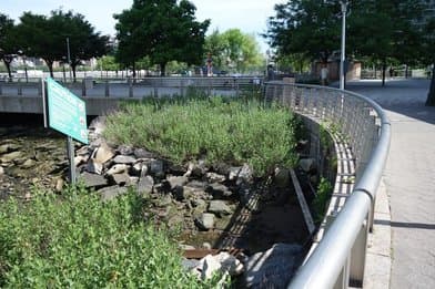 Gantry Plaza State Park - Image 1