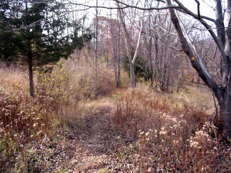 Goosepond Mountain State Park