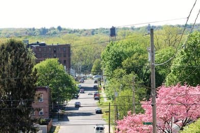 Peebles Island State Park - Image 1