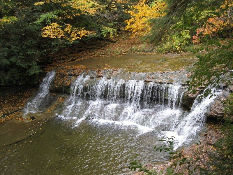 Robert H. Treman State Park