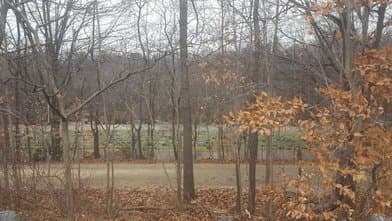 Rockefeller State Park Preserve - Image 1