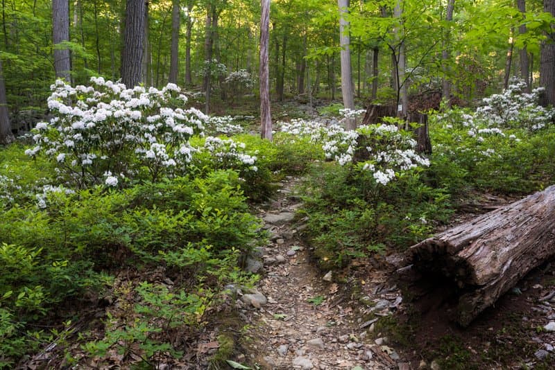 Storm King State Park