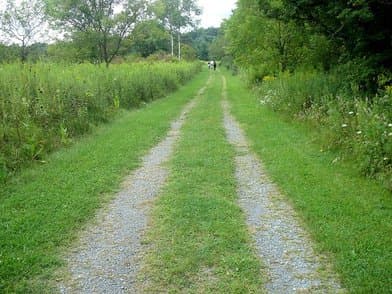 Bald Eagle State Park - Image 3