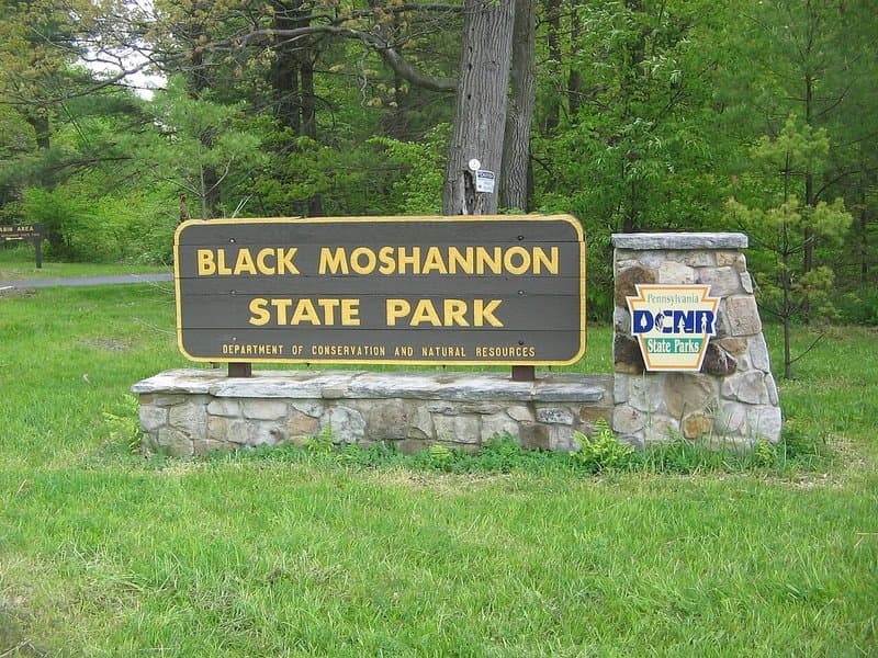 Black Moshannon State Park