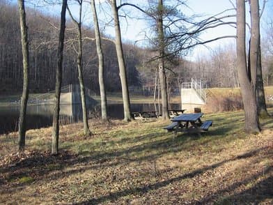 Black Moshannon State Park - Image 1
