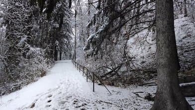 Caledonia State Park - Image 1