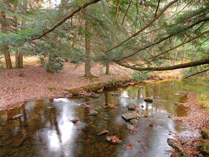Clear Creek State Park
