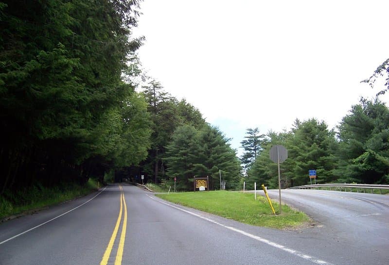 Cook Forest State Park hero image