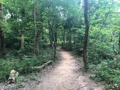 Crooked Creek State Park - Image 1