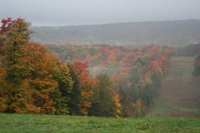 Laurel Mountain State Park - Image 2