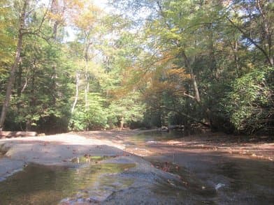 Linn Run State Park - Image 2