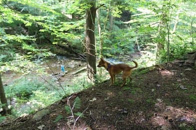 Linn Run State Park - Image 3