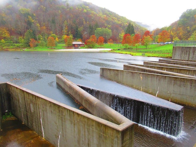 Lyman Run State Park hero image